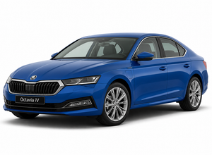 Skoda Octavia iV Charging Cable - Type 2 to Type 2 / 10M / 32amp Three Phase (22kW)